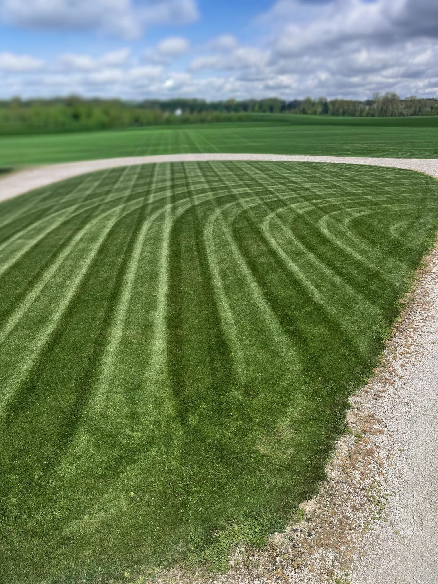 571251150 122099803857091891 5104864445870630178 n copy