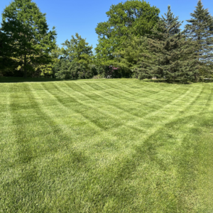 574341287 122099771955091891 2031638943833402474 n copy